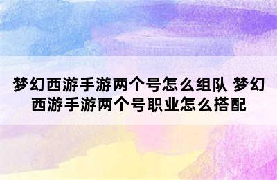 梦幻西游手游两个号怎么组队 梦幻西游手游两个号职业怎么搭配